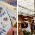 Teroriștii ISIS amenință cu atacuri pe patru stadioane în Liga Campionilor și provoacă haos cu mesaje violente