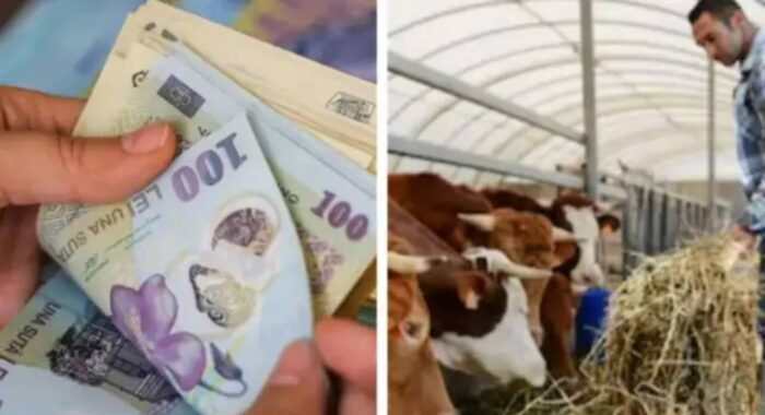 APIA anunță noi autorizații de plată