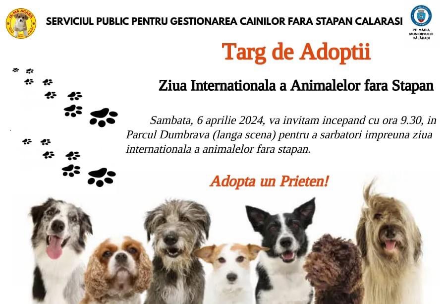 Târg de adopții în Parcul Dumbrava