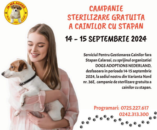 Campanie de sterilizare gratuită a câinilor cu stăpân