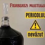 Medici noi la Spitalul de Psihiatrie Săpunari