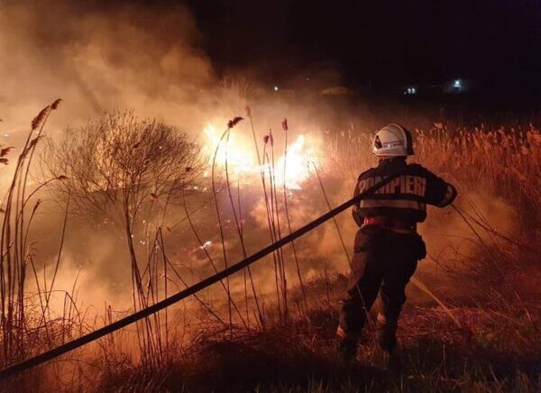 STOP INCENDIILOR DE VEGETAȚIE USCATĂ!