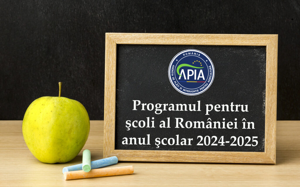 A fost aprobat bugetul pentru implementarea Programului pentru şcoli al României în anul şcolar 2024-2025