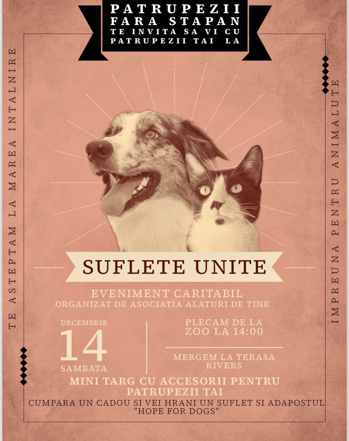 Suflete Unite – O plimbare pentru sufletele fără voce