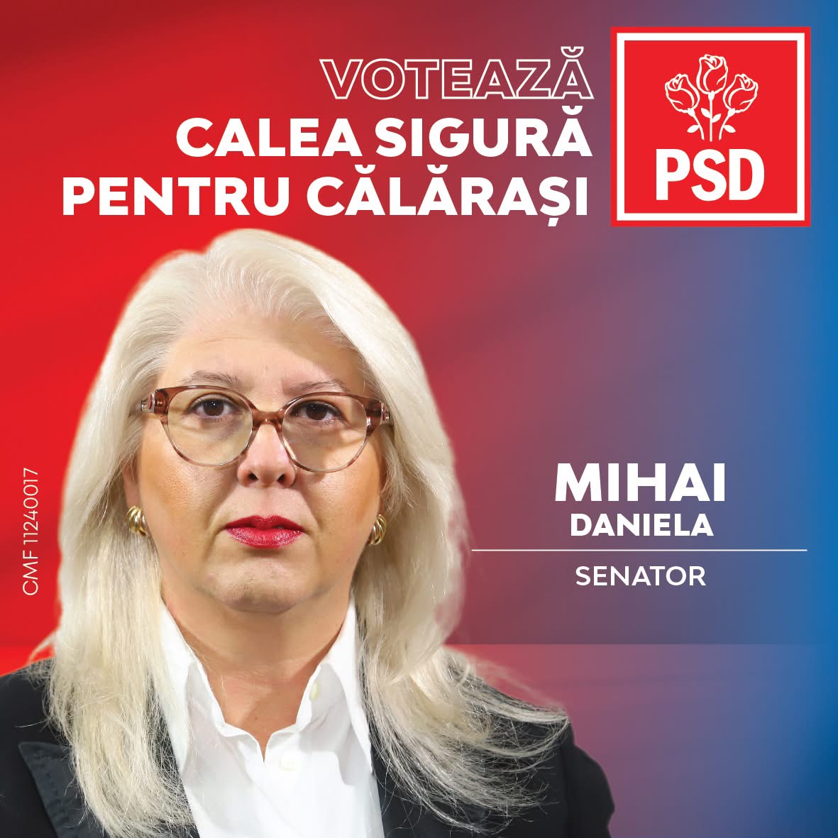 Daniela Mihai, experiență și devotament