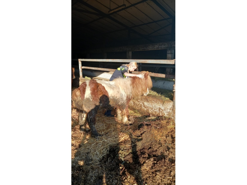 DOUĂ SUFLETE NEVINOVATE, SALVATE DE POLIȚIȘTI