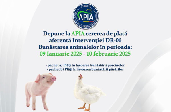 APIA primește cereri de plată pentru Intervenția DR-06 – Bunăstarea animalelor