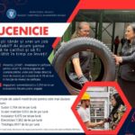 România, din nou „Grânarul Europei”: Investițiile în irigații dau rezultate