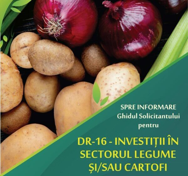 Sprijin substanțial pentru investiții în sectorul legume și cartofi: Finanțări de până la 2.000.000 euro pentru fermieri