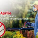 Cauți un loc de muncă ? Vezi oferta!