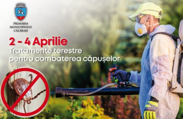 Tratamente împotriva căpușelor în municipiul Călărași