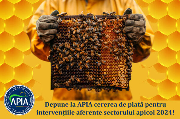 Apicultorii sunt așteptați la APIA să depună Cereri de platăpentru intervenţiile aferente sectorului apicol 2025