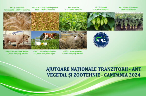 APIA a demarat autorizarea la plată a ANT-urilor aferente anului de cerere 2024