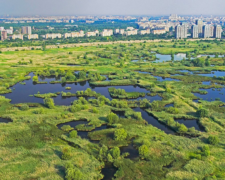 Delta Văcărești: A fost semnat Planul de Management al primului parc natural urban din România