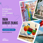 Festivaluri majore în România – Vara 2025