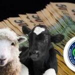 PSD susține adoptarea rapidă a unui pachet de măsuri cu o destinație clară