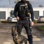 Sorin Grindeanu avertizează: PSD trebuie să aleagă între o guvernare coerentă și trecerea în opoziție. Mesaj ferm după rezultatele alegerilor parțiale
