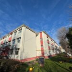 Hera, noul partener canin al Jandarmeriei Călărași