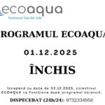 Zodiile la prima zăpadă