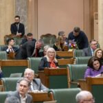 Senatoarea Daniela Mihai susține continuarea lucrărilor la Autostrada Sibiu–Pitești prin vot în Parlament