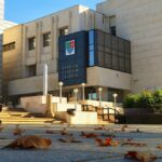 Tehnologia schimbă tot mai mult modul în care trăim, lucrăm și comunicăm