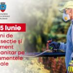 Digitalizarea administrației locale: pasul necesar spre servicii publice mai rapide și mai accesibile