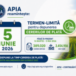 Primăria Călărași îi îndeamnă pe proprietarii de terenuri să își împrejmuiască proprietățile